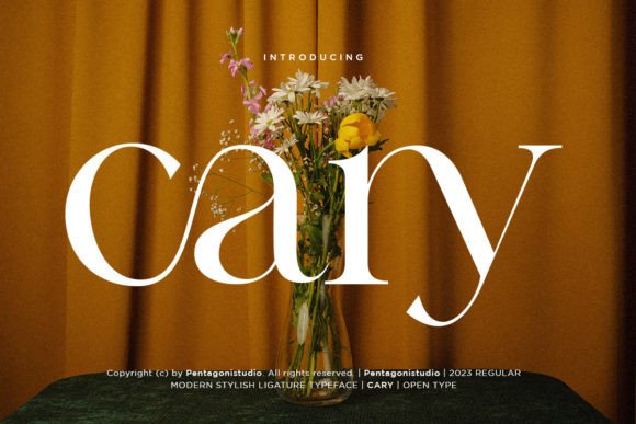 Cary: A Classy Serif Font for Designers Seeking Elegance and Precision